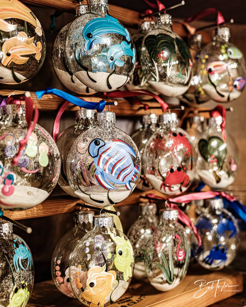 20250321-Little Village R -4.jpg