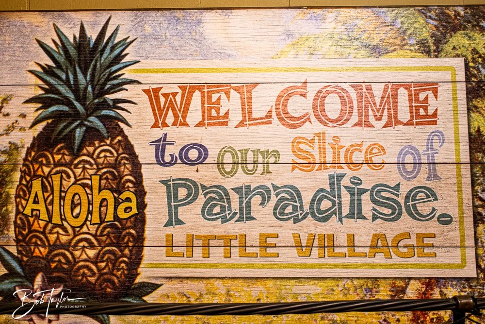 20250321-Little Village L -7.jpg