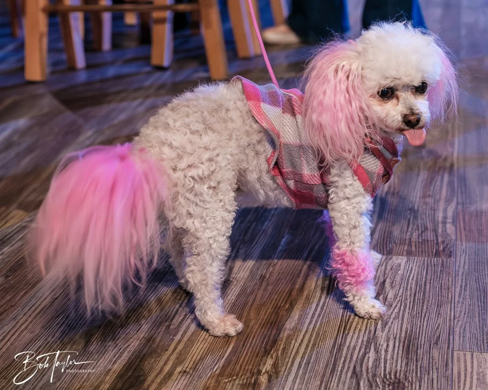 20250321-Little Village L -15.jpg