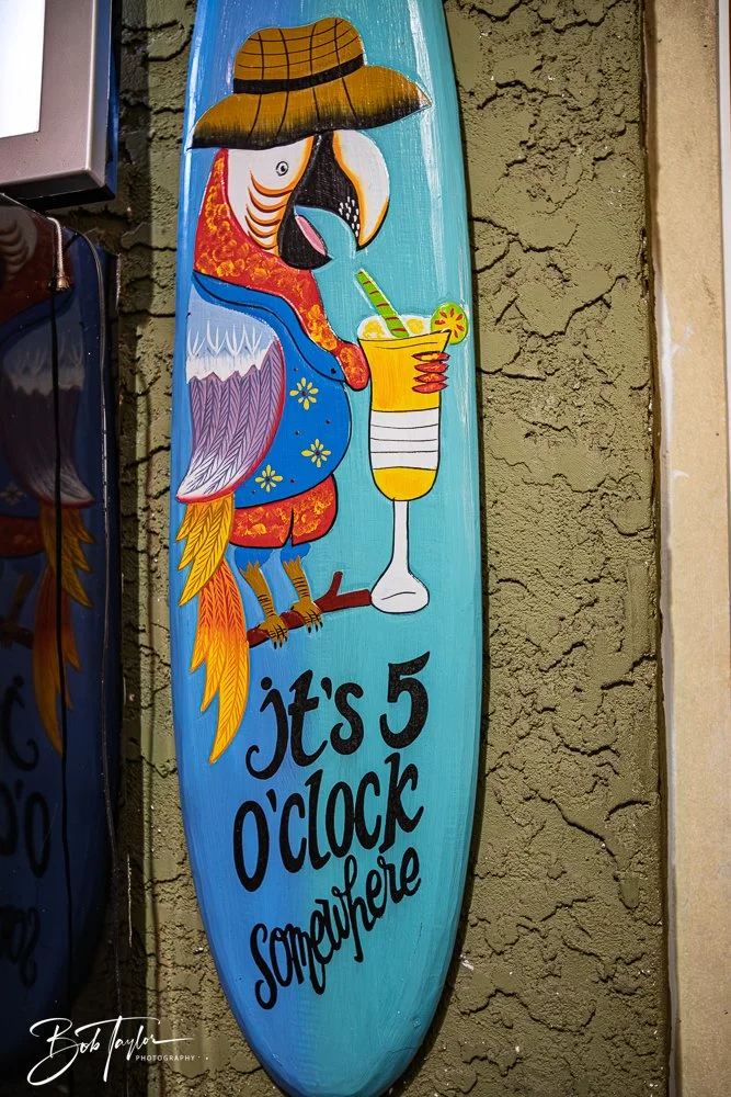 20251104-Little Village -1.jpg