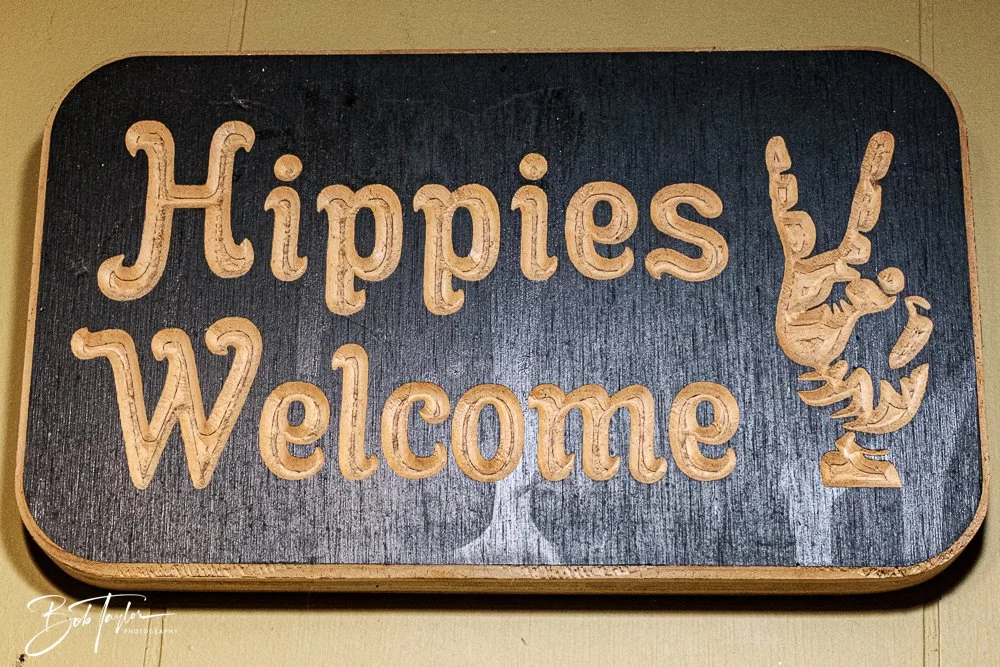 20250321-Little Village L -8.jpg