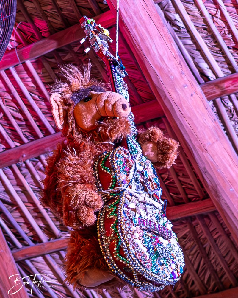 20250321-Little Village L -17.jpg