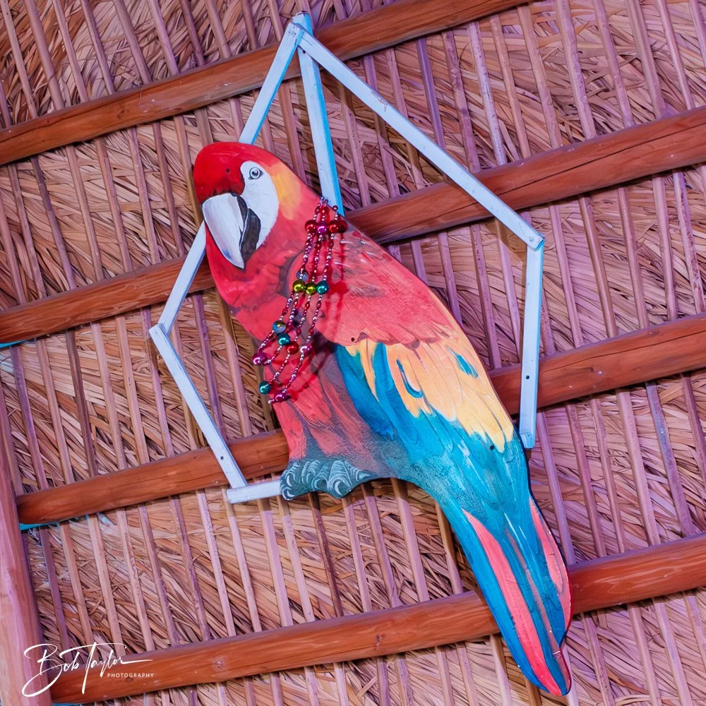 20250321-Little Village L -1.jpg