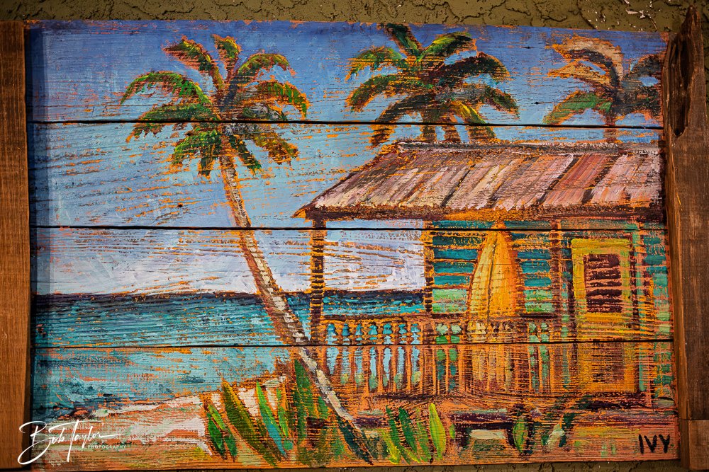 20251104-Little Village -4.jpg