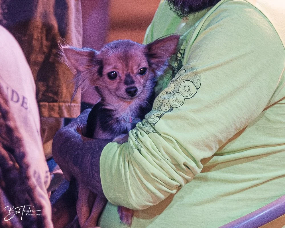 20251022-Revolution -50.jpg