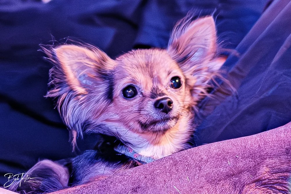 20251022-Revolution -46.jpg