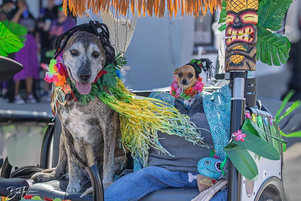 20251025-2025 Witches Ride -106.jpg