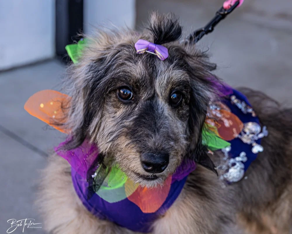 20251025-2025 Witches Ride -37.jpg