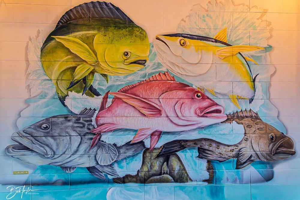 20251025-2025 Witches Ride -5.jpg