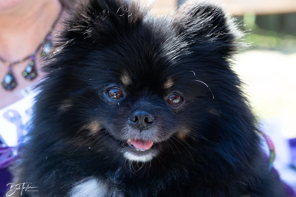 20251025-2025 Witches Ride -122.jpg