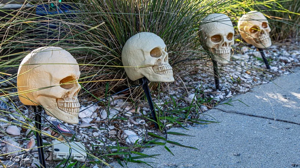 20251025-2025 Witches Ride -23.jpg