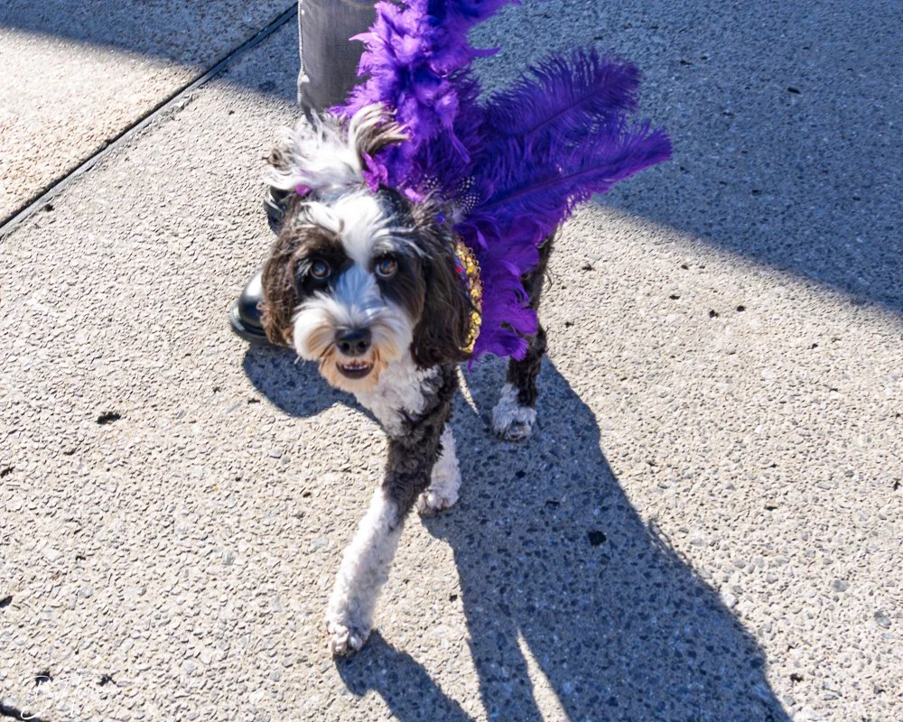 20251025-2025 Witches Ride -67.jpg