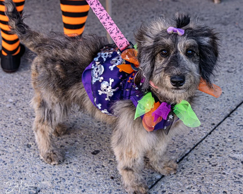 20251025-2025 Witches Ride -39.jpg