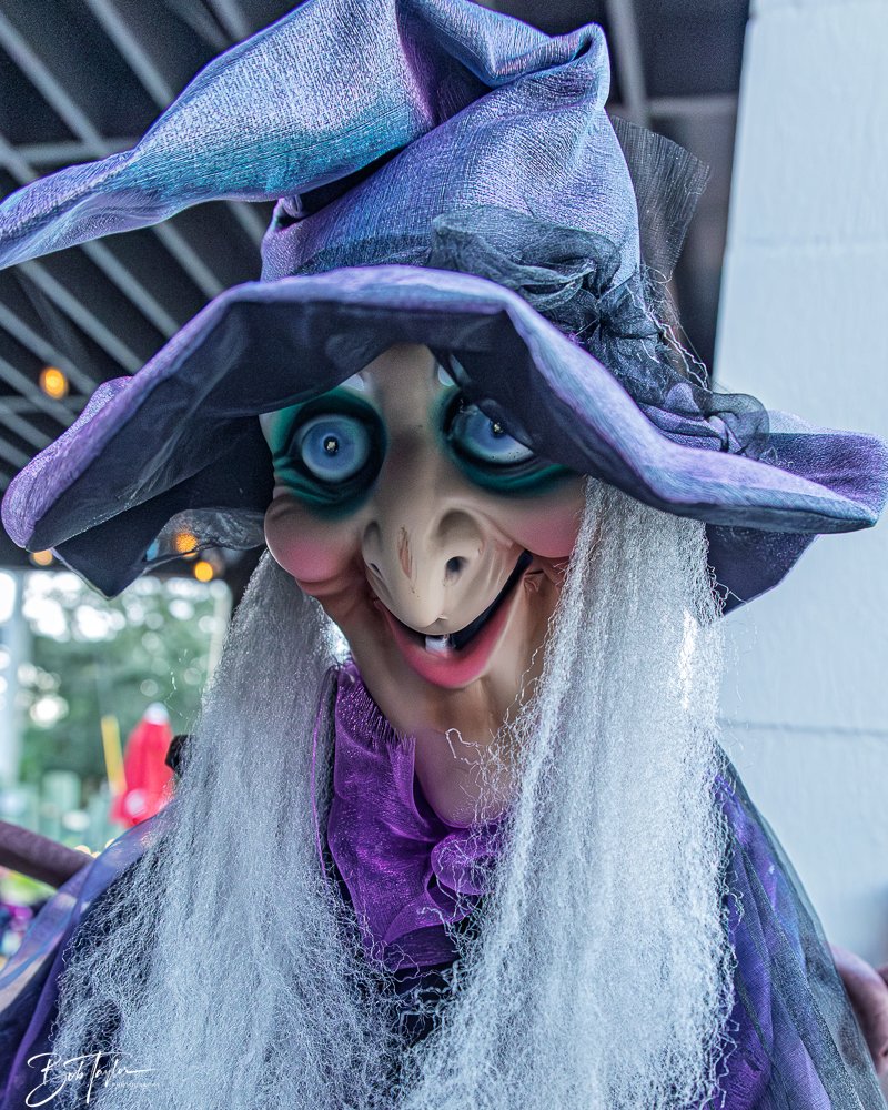 20251025-2025 Witches Ride -9.jpg