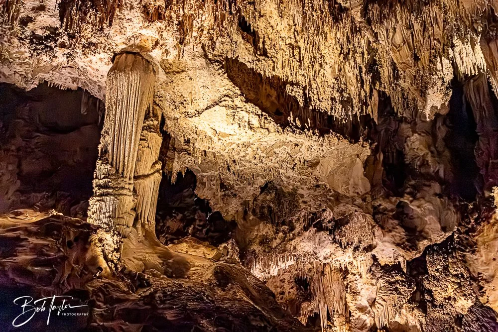 20241115-20241115-Carlsbad -33-2.jpg