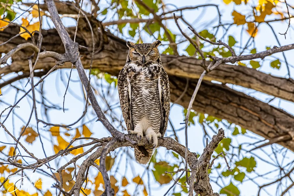 20241115-20241115-Carlsbad -39-2.jpg