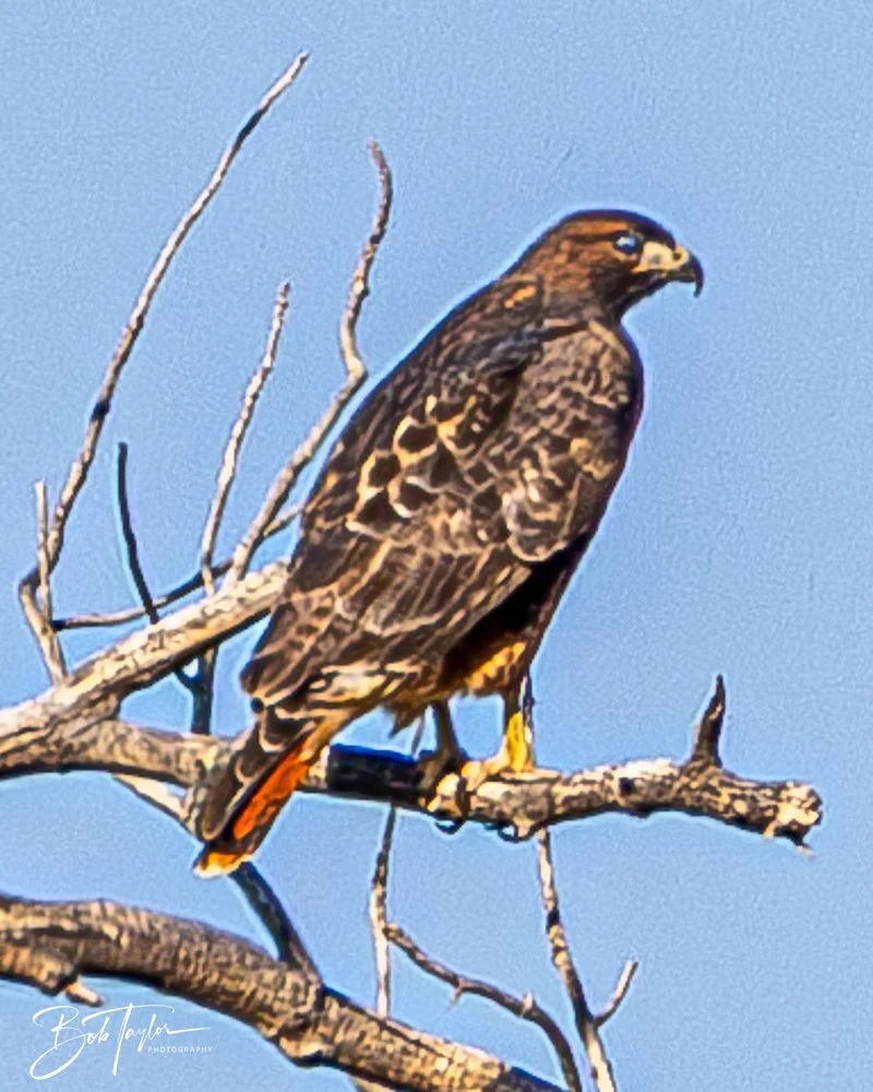 20241115-20241115-Carlsbad -41-2.jpg