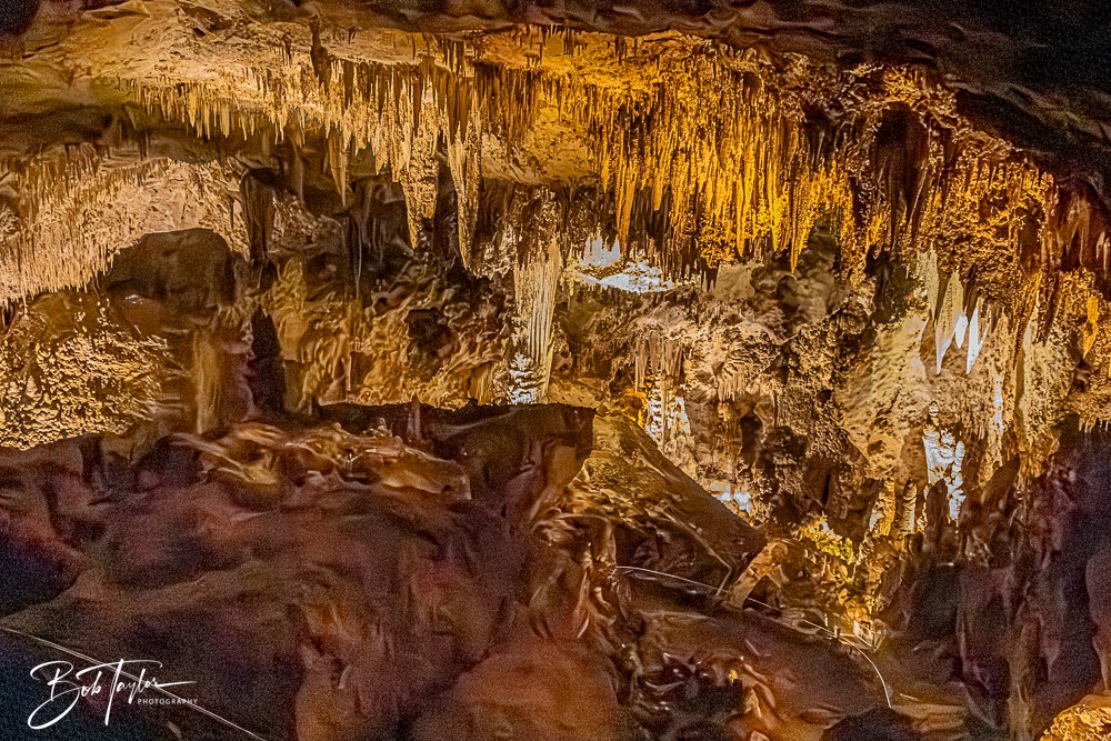 20241115-20241115-Carlsbad -14-2.jpg