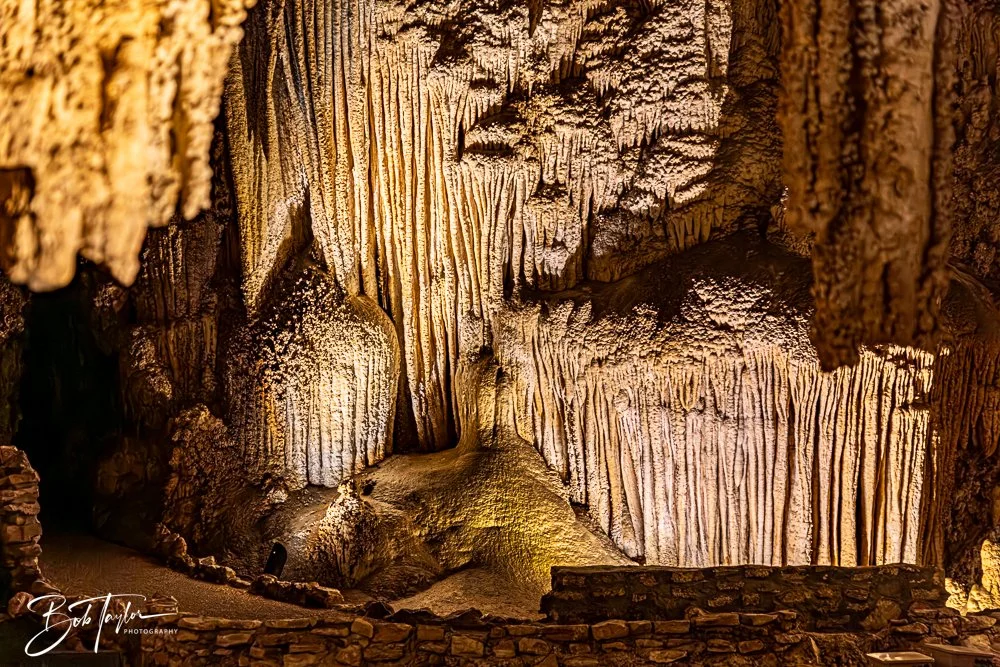 20241115-20241115-Carlsbad -22-2.jpg