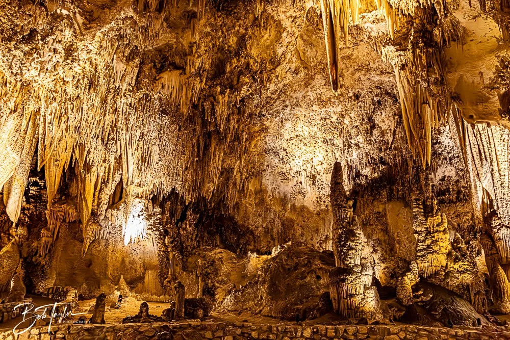 20241115-20241115-Carlsbad -25-2.jpg