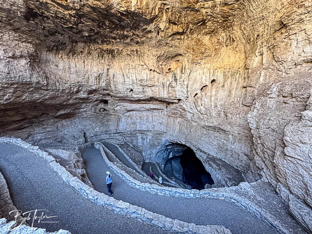 20241115-20241115-Carlsbad -3-2.jpg