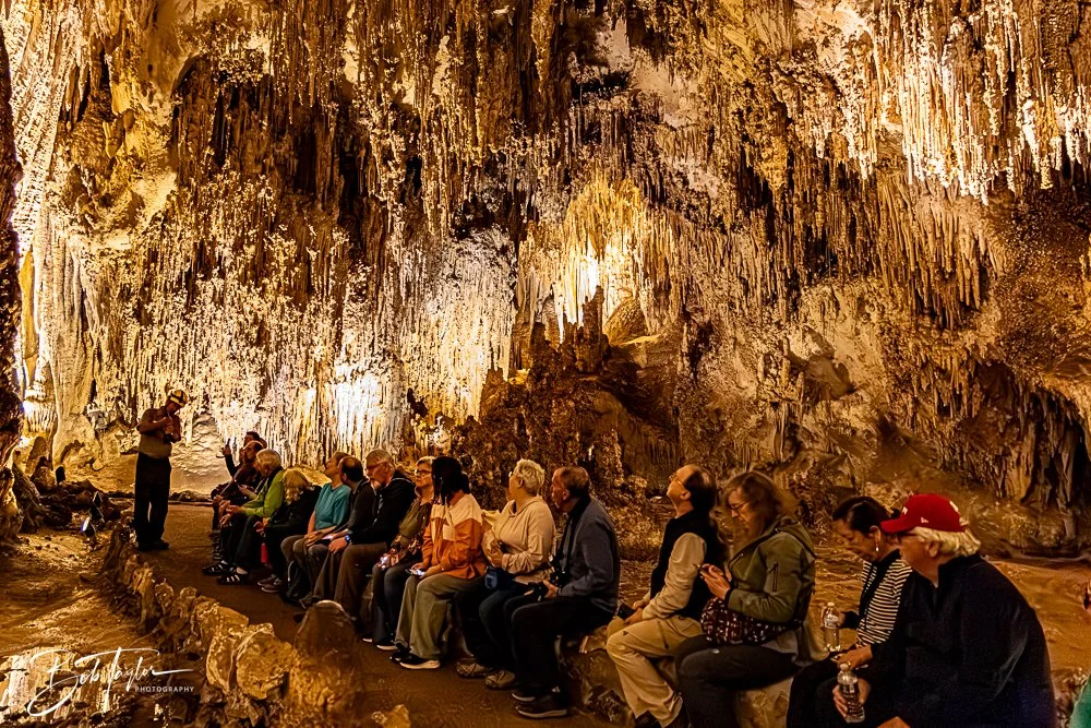 20241115-20241115-Carlsbad -26-2.jpg