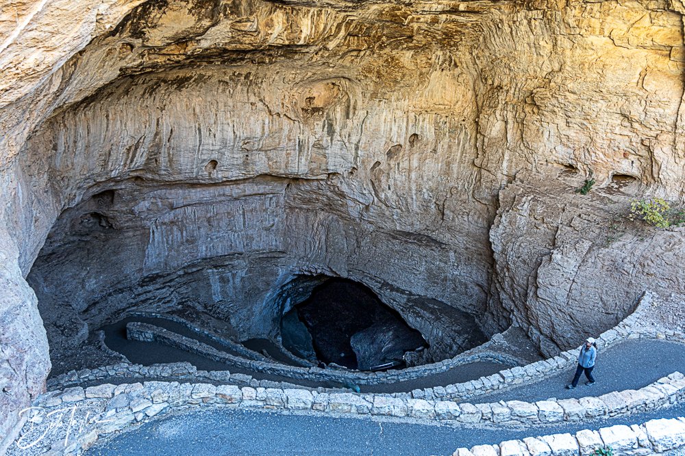 20241115-20241115-Carlsbad -11-2.jpg