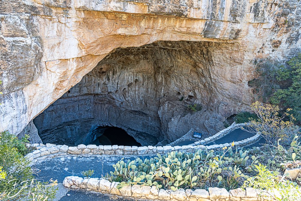 20241115-20241115-Carlsbad -8-2.jpg