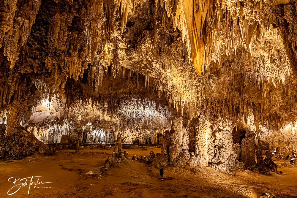 20241115-20241115-Carlsbad -30-2.jpg