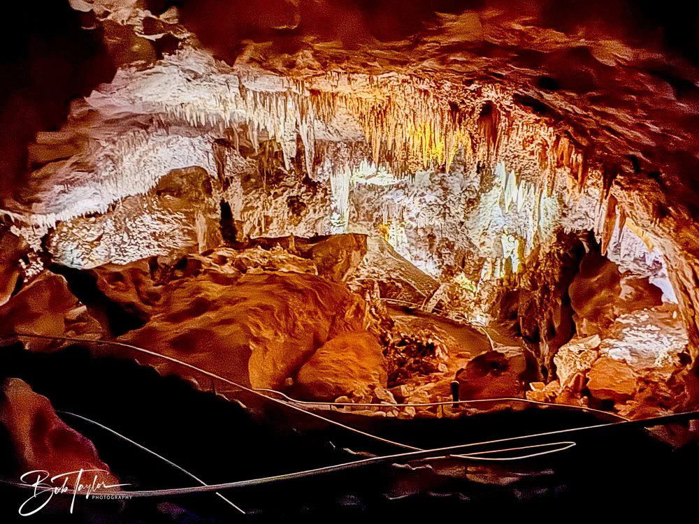 20241115-20241115-Carlsbad -5-2.jpg