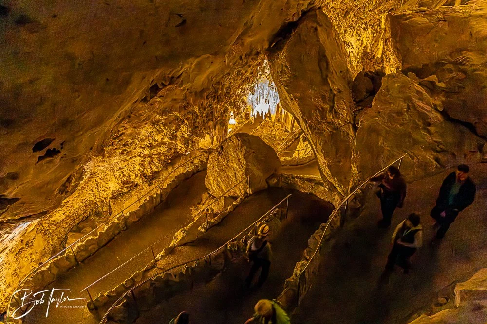 20241115-20241115-Carlsbad -17-2.jpg