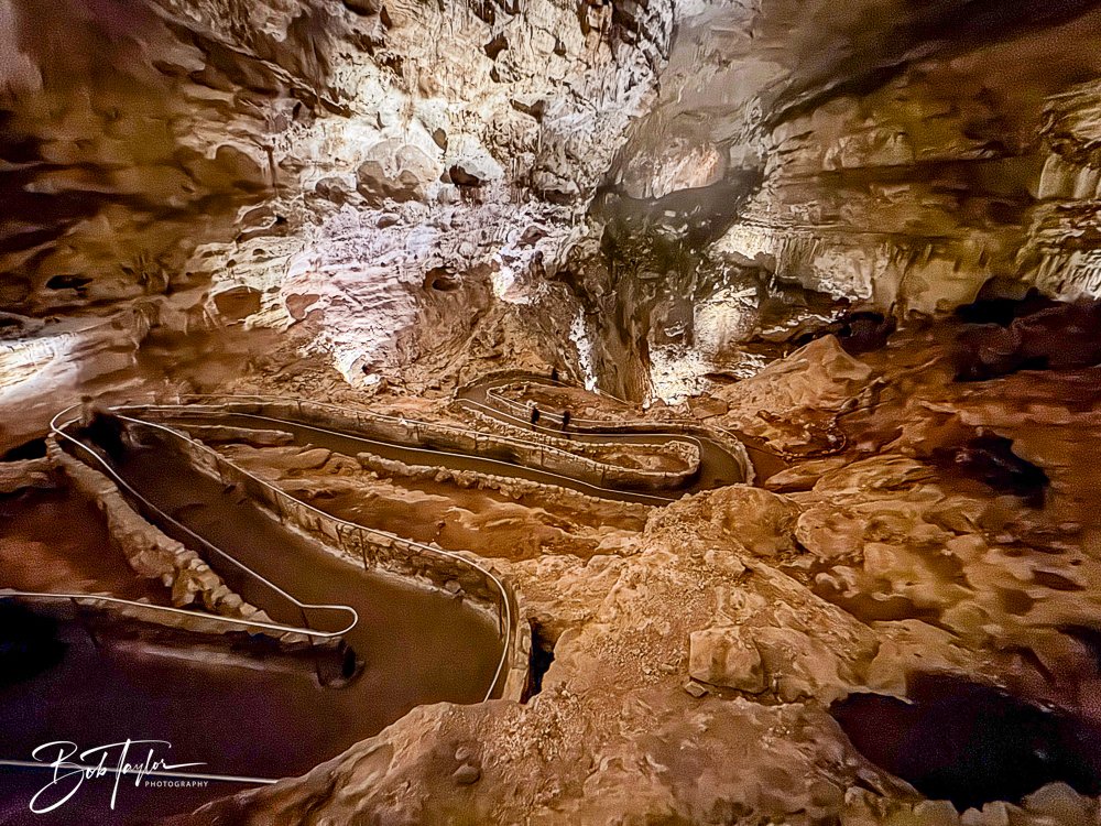 20241115-20241115-Carlsbad -4-2.jpg