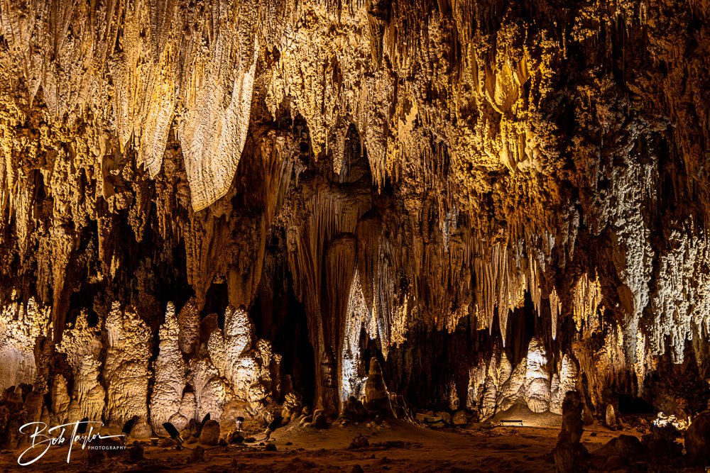 20241115-20241115-Carlsbad -19-2.jpg