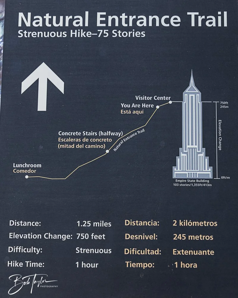 20241115-20241115-Carlsbad -9-2.jpg