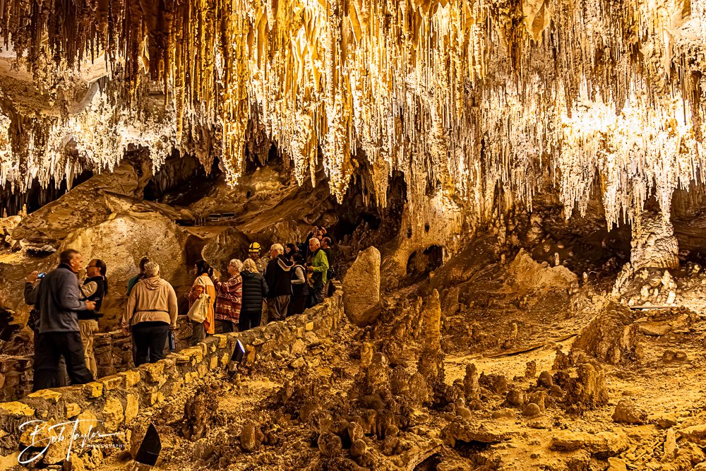 20241115-20241115-Carlsbad -23-2.jpg