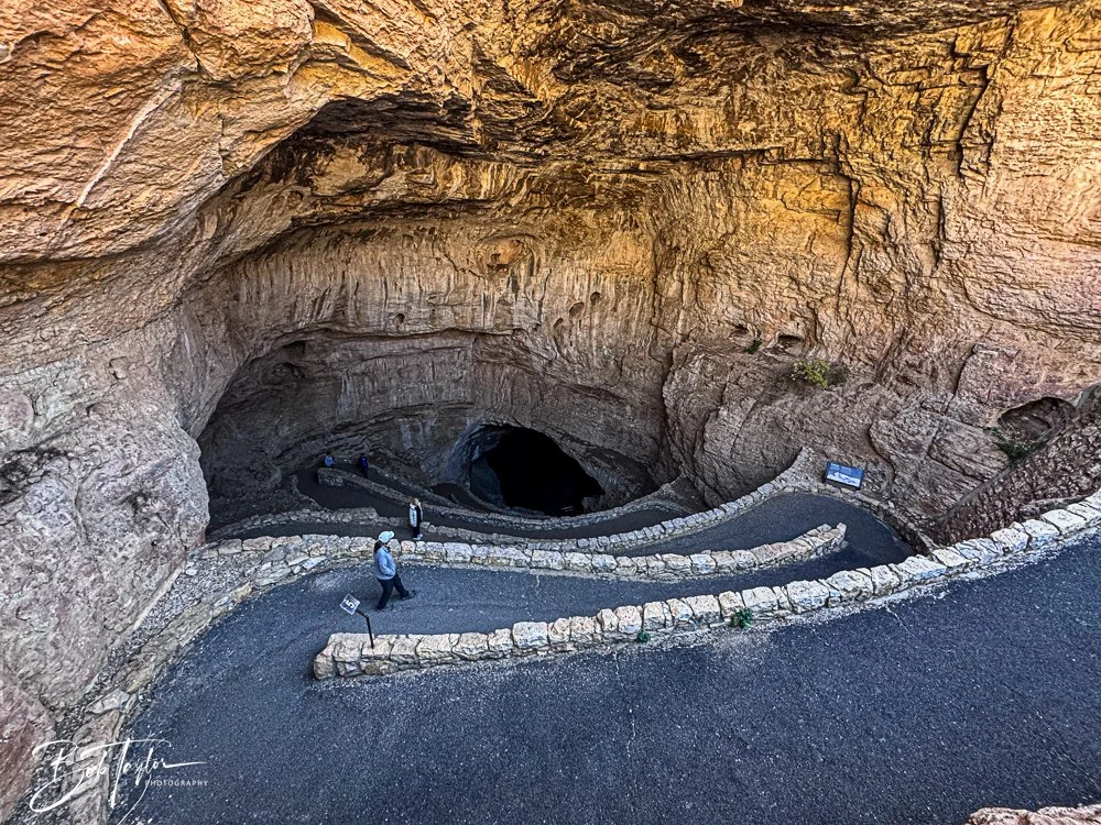 20241115-20241115-Carlsbad -2-2.jpg