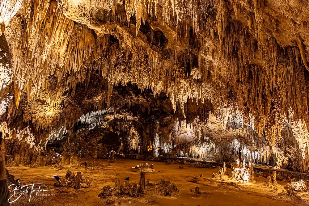 20241115-20241115-Carlsbad -29-2.jpg