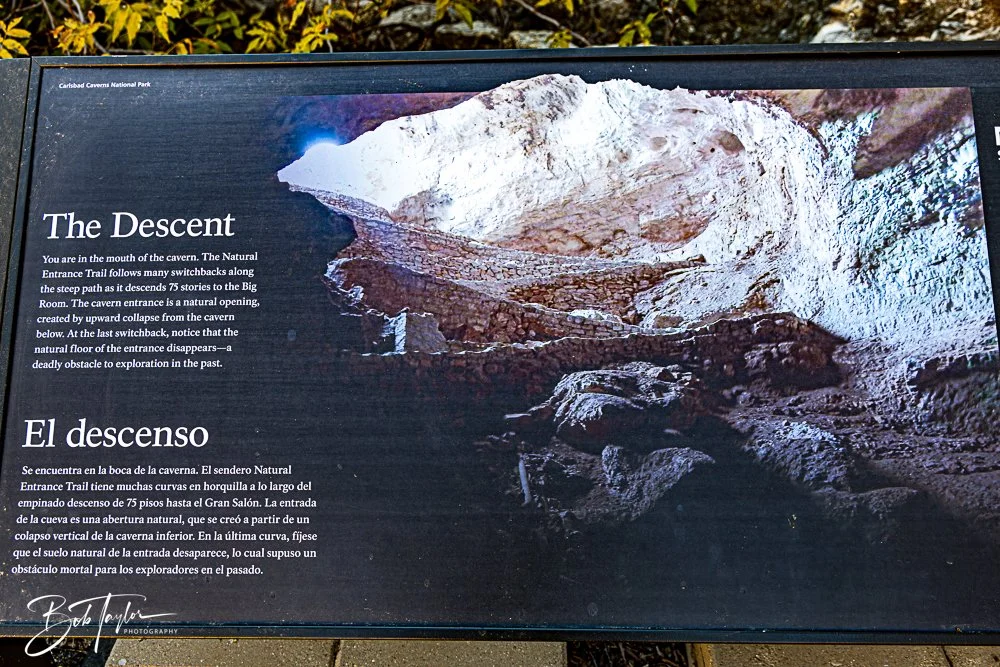 20241115-20241115-Carlsbad -10-2.jpg