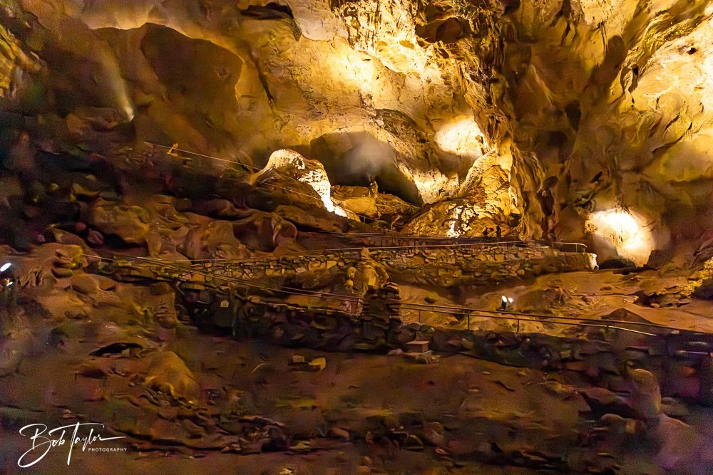 20241115-20241115-Carlsbad -13-2.jpg