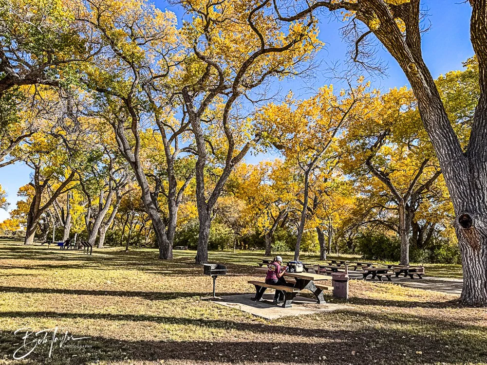 20241115-20241115-Carlsbad -27-2.jpg