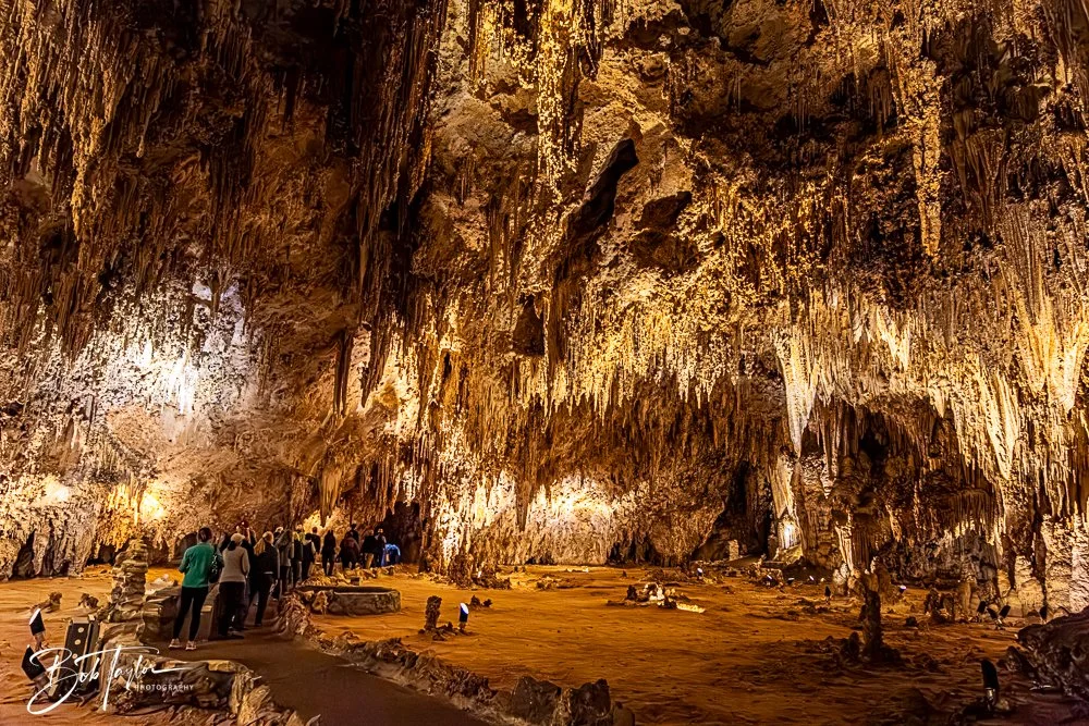 20241115-20241115-Carlsbad -21-2.jpg