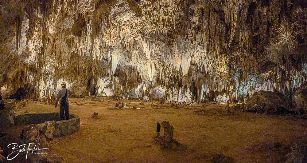 20241115-20241115-Carlsbad -6-2.jpg