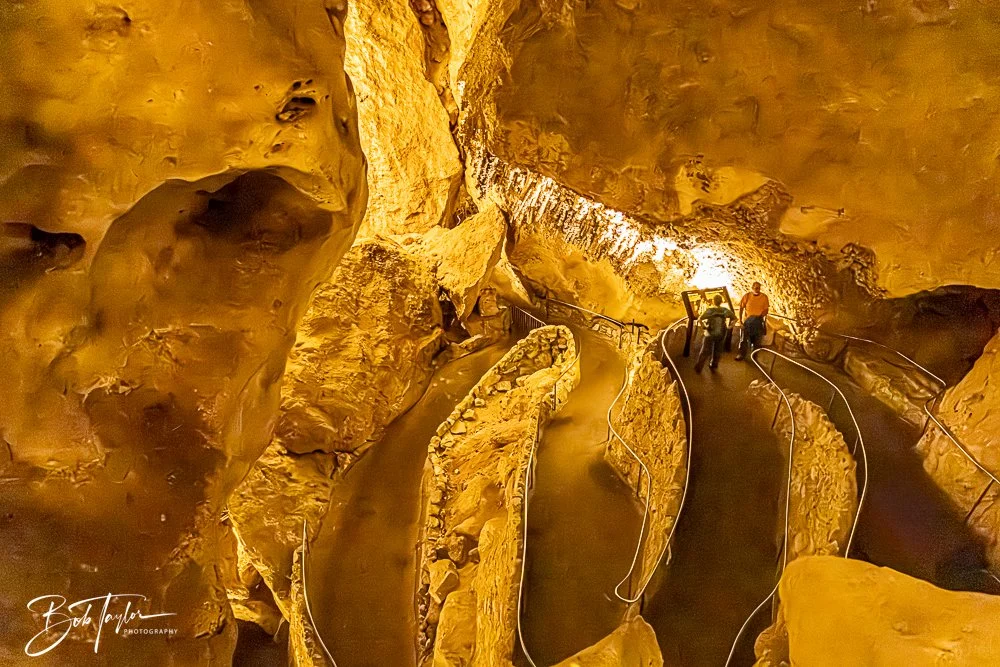 20241115-20241115-Carlsbad -16-2.jpg