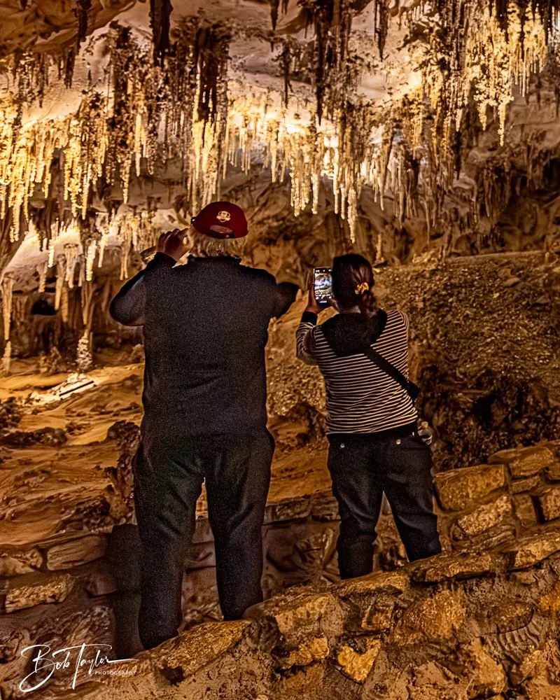 20241115-20241115-Carlsbad -24-2.jpg