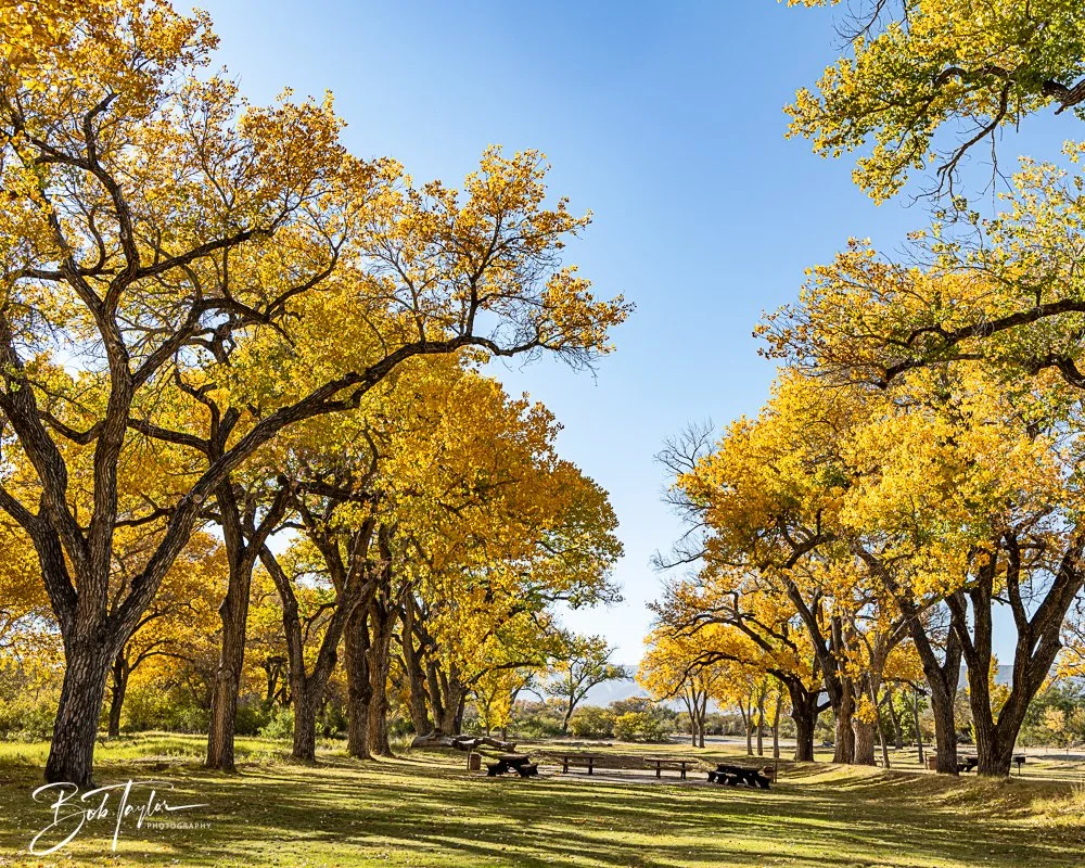 20241115-20241115-Carlsbad -37-2.jpg