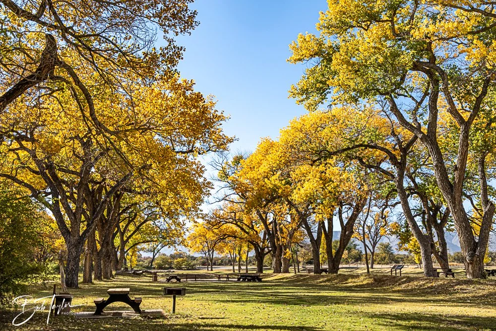 20241115-20241115-Carlsbad -36-2.jpg