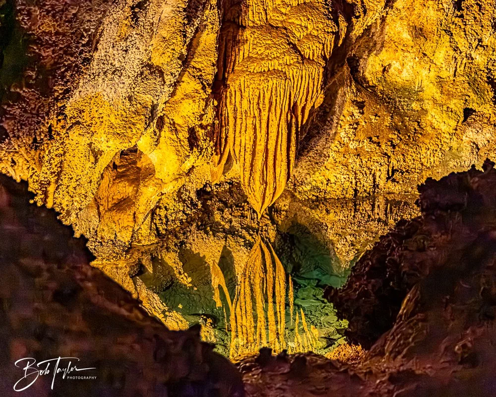 20241115-20241115-Carlsbad -31-2.jpg