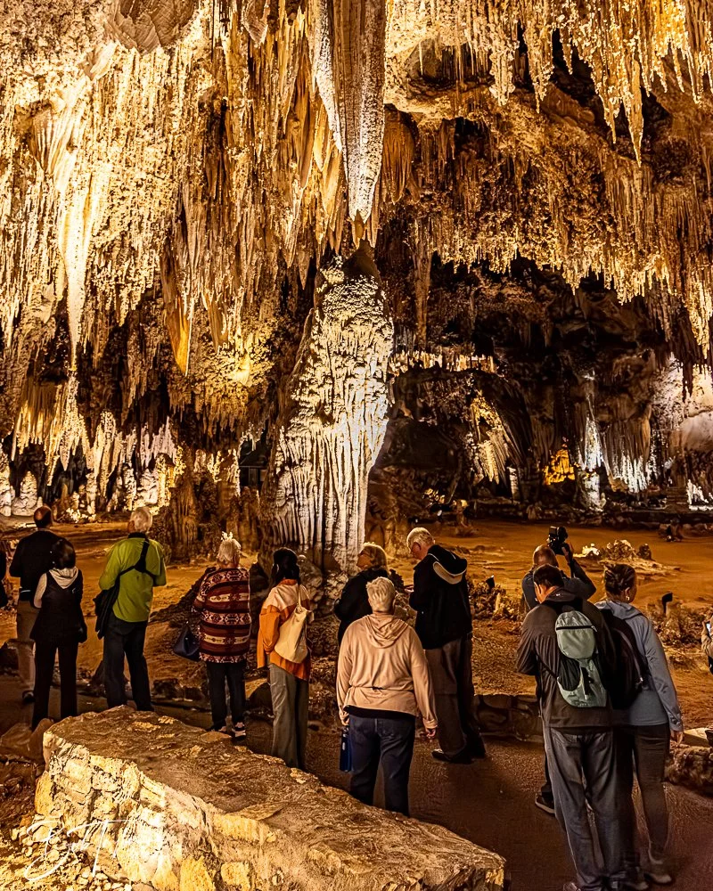 20241115-20241115-Carlsbad -28-2.jpg