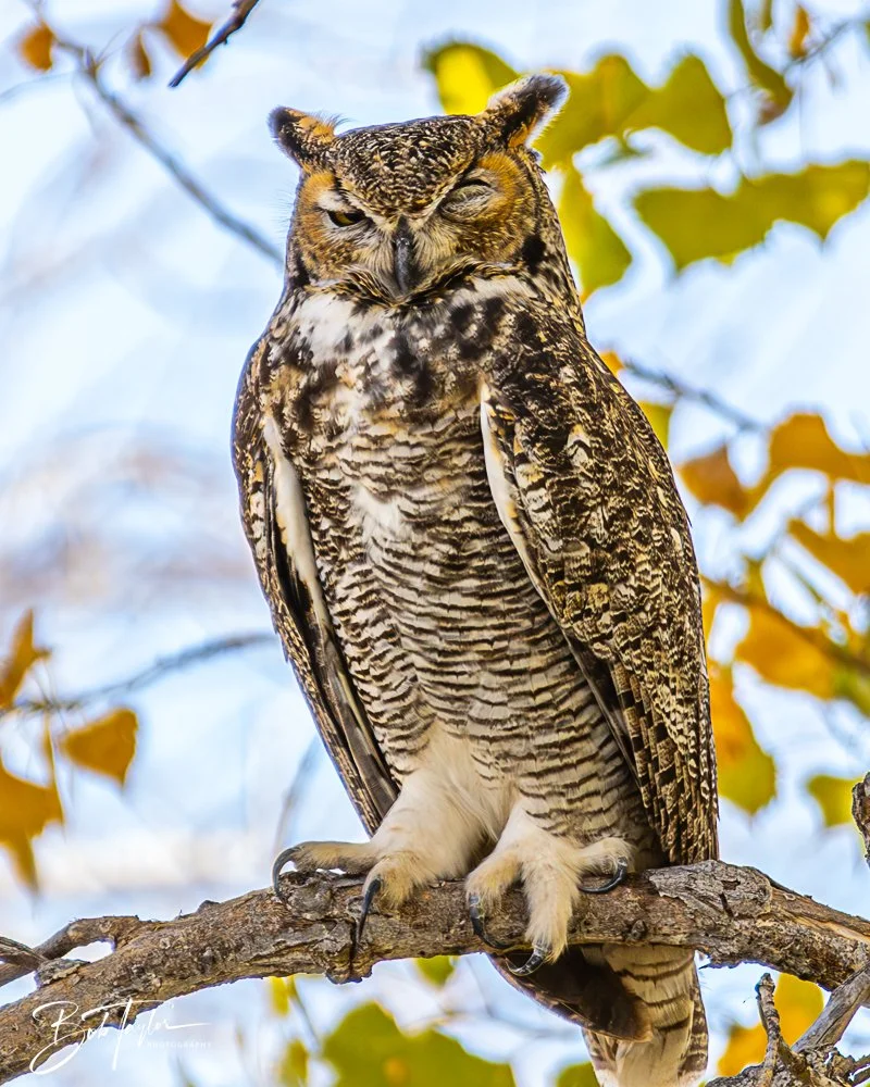 20241115-20241115-Carlsbad -40-2.jpg