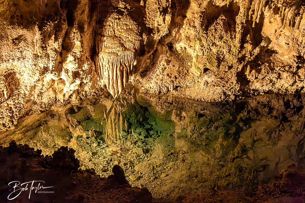 20241115-20241115-Carlsbad -32-2.jpg